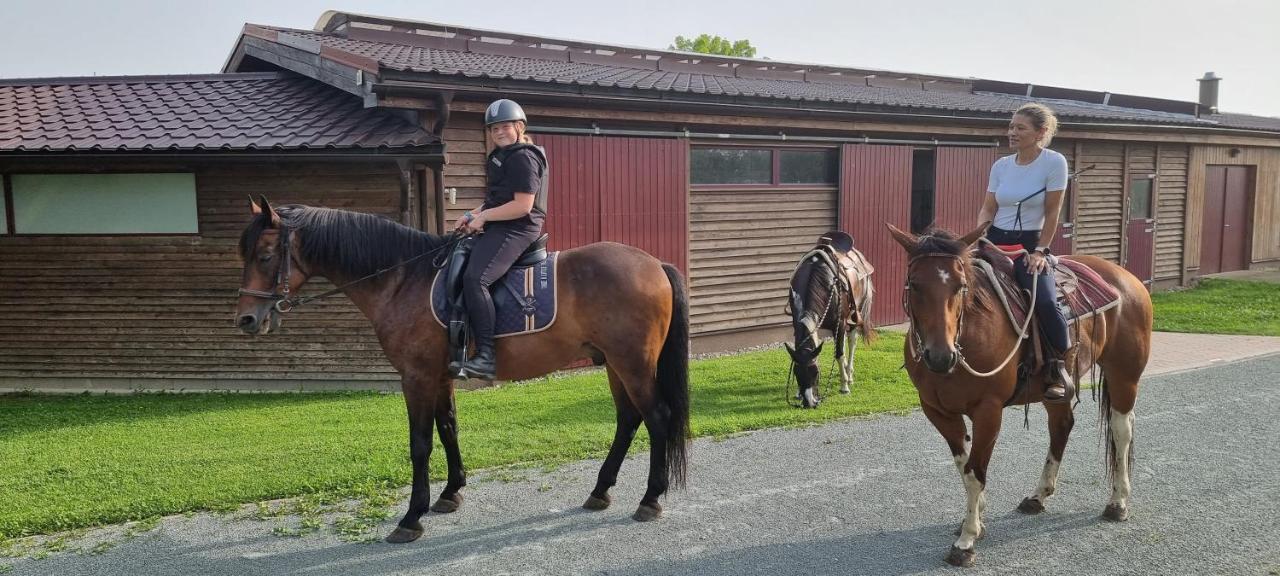 Ranc Orlice Farm stay Trebechovice pod Orebem
